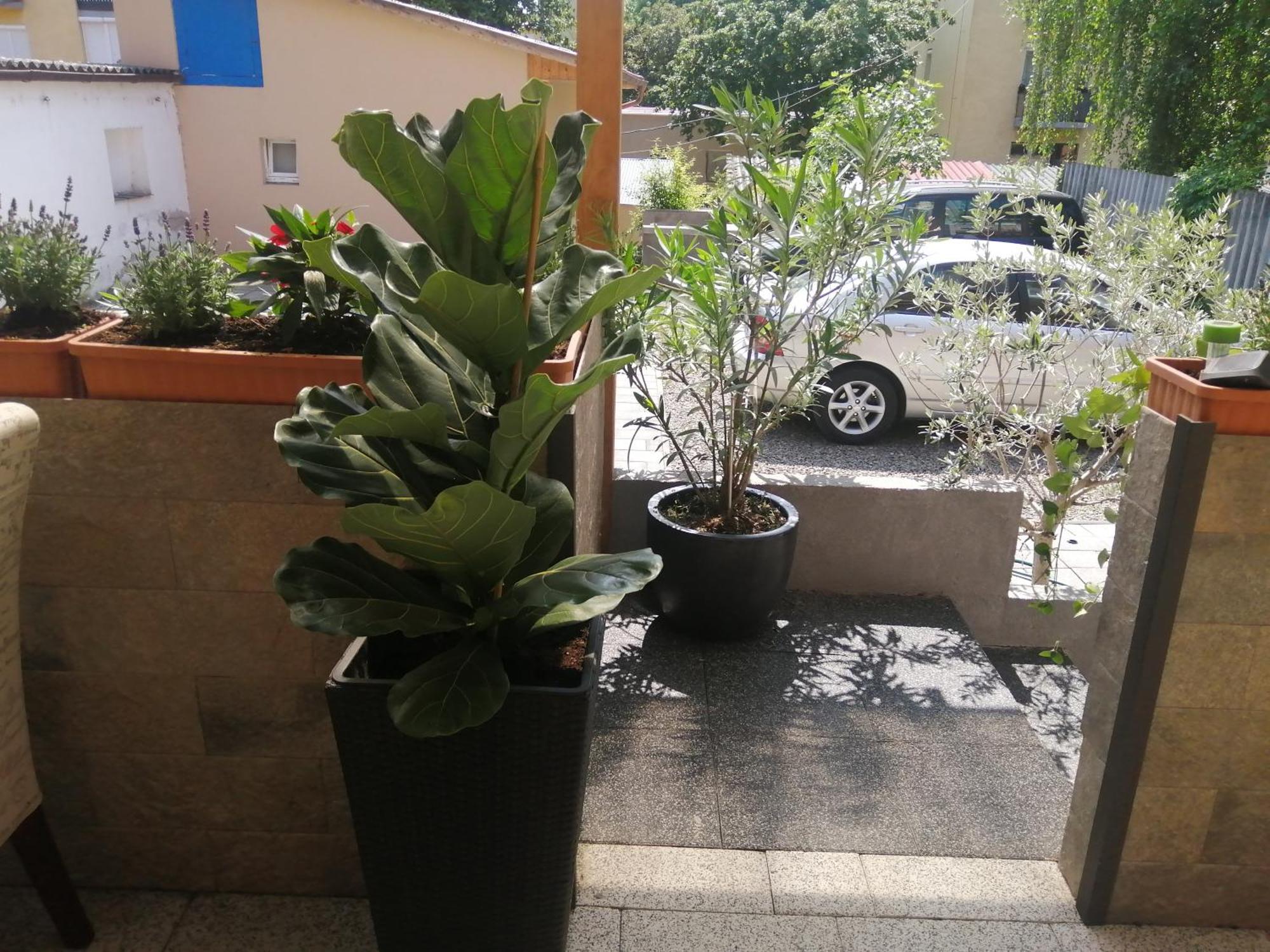 Filsdeger Royal Panzió Acomodação com café da manhã Exterior foto